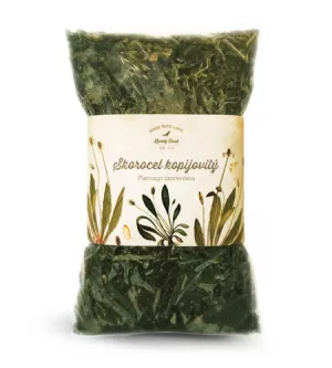 Skorocel kopijovitý 100g  VO*